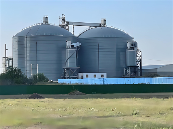 崇左钢板仓建造施工方案详解